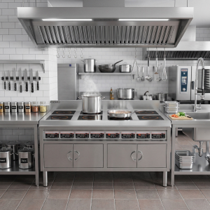 8-конфорочная индукционная плита InduJet