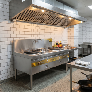 Двухсекционная газовая WOK-плита Izalith 160 см