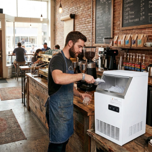 Ледогенератор Bellingshausen