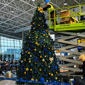 Новогодняя елка 500 см