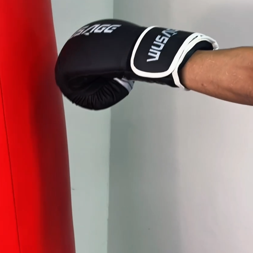 Боксерские перчатки Wusage Shadow Monarch 10oz