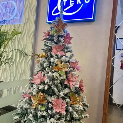 Тоо ТЕКС г. Алматы