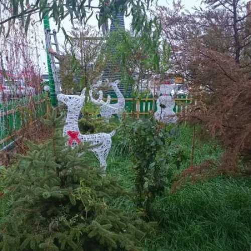 Кафе Мактаарал г. Тараз