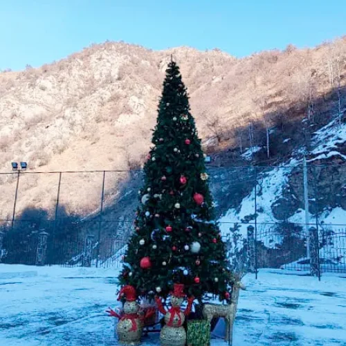 Глэмпинг EcodomKZ