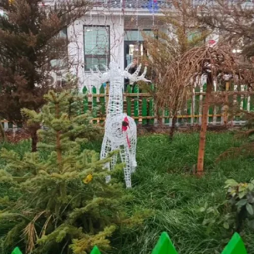 Кафе Мактаарал г. Тараз