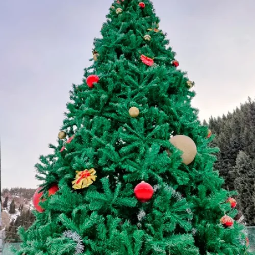 Глэмпинг EcodomKZ