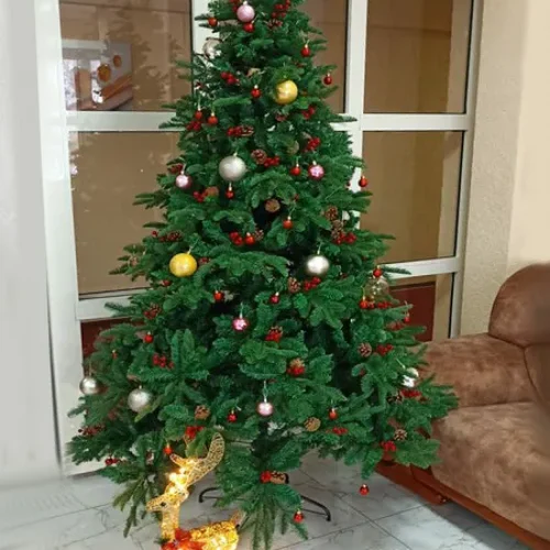 Санаторий Манкент г. Шымкент