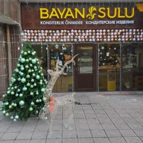 Фирменный магазин Bayan sulu