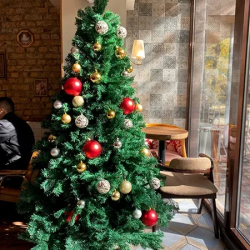 Суши-бар АКУНИН 寿司