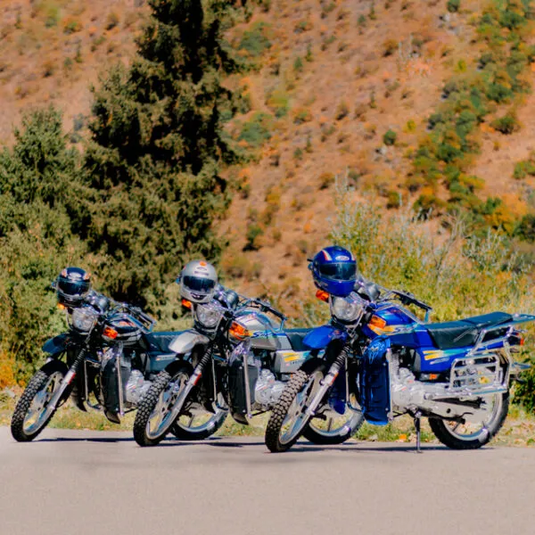 Мотоцикл Suzuki GSX 200 Super Waters — изображение 14
