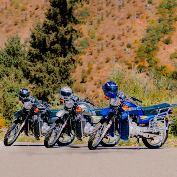 Мотоцикл Suzuki GSX 200 Super Smoke — изображение 17