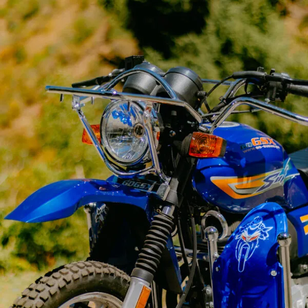 Мотоцикл Suzuki GSX 200 Super Waters — изображение 3